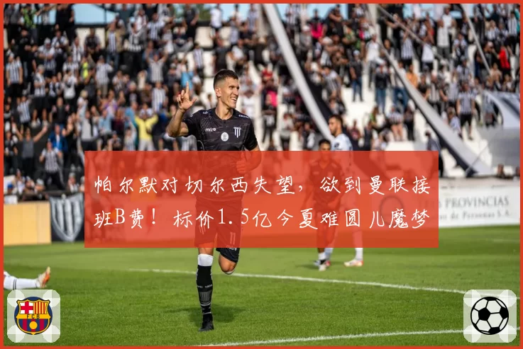 帕尔默对切尔西失望，欲到曼联接班B费！标价1.5亿今夏难圆儿魔梦