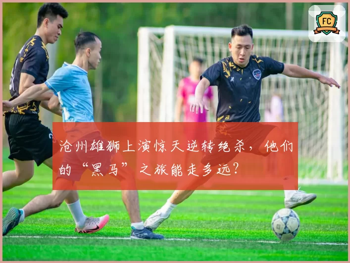 沧州雄狮上演惊天逆转绝杀，他们的“黑马”之旅能走多远？