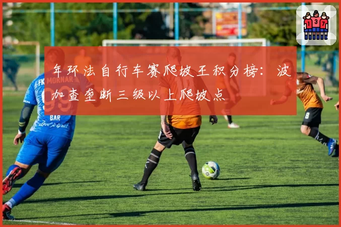 年环法自行车赛爬坡王积分榜：波加查垄断三级以上爬坡点